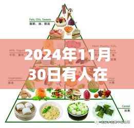 2024年11月30日美食盛宴，初学者也能掌握的享受美食技巧