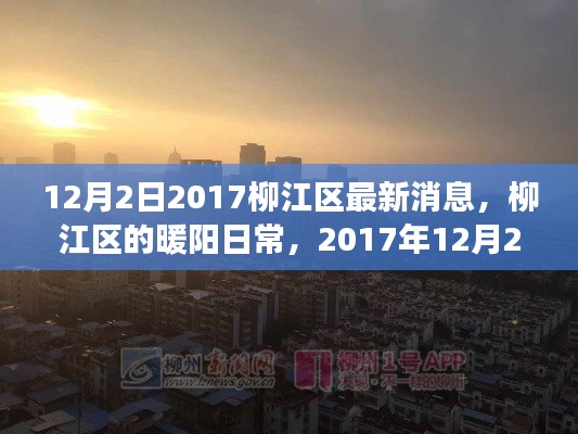 柳江区暖阳日常,温馨故事在冬日里绽放(2017年12月2日最新消息)