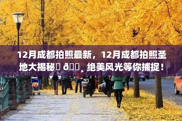 法不阿贵 第5页