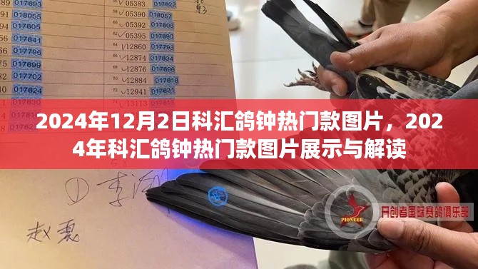 2024年科汇鸽钟热门款图片展示与详细解读