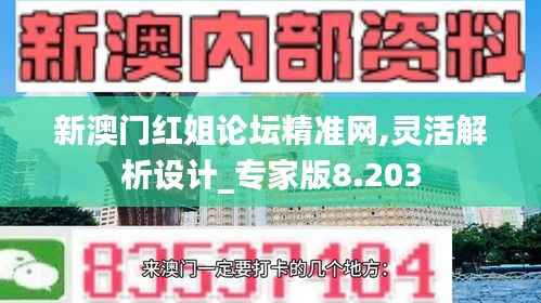 新澳门红姐论坛精准网,灵活解析设计_专家版8.203