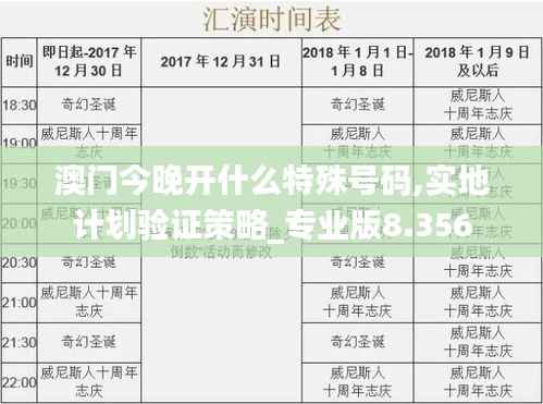 澳门今晚开什么特殊号码,实地计划验证策略_专业版8.356