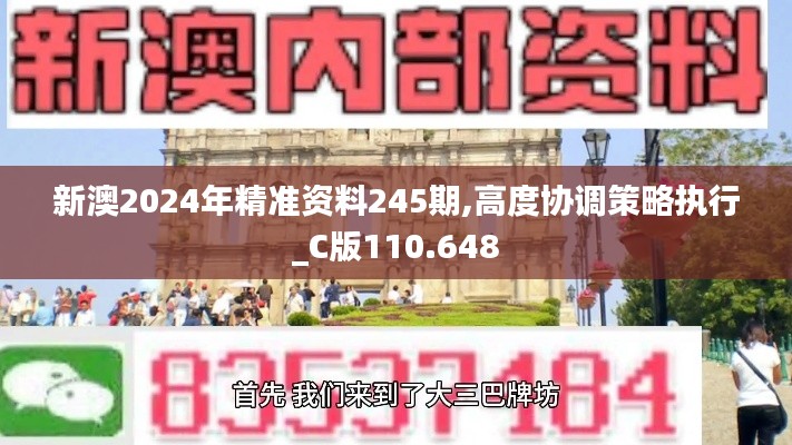 新澳2024年精准资料245期,高度协调策略执行_C版110.648