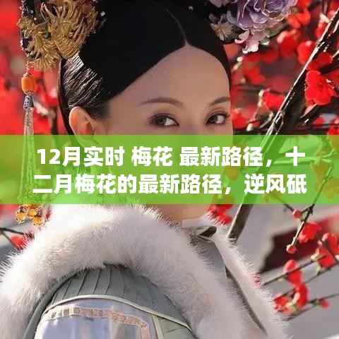 公司概况 第352页