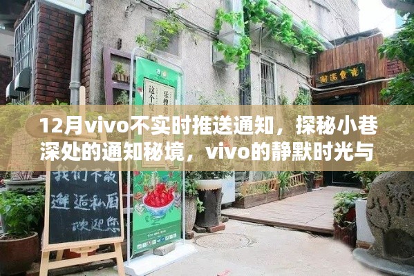 探秘小巷深处的通知秘境,vivo静默时光与特色小店的邂逅故事