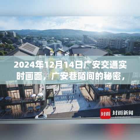 另谋高就 第4页