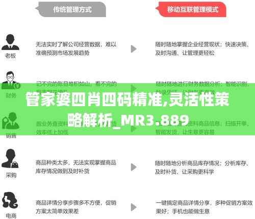 管家婆四肖四码精准,灵活性策略解析_MR3.889