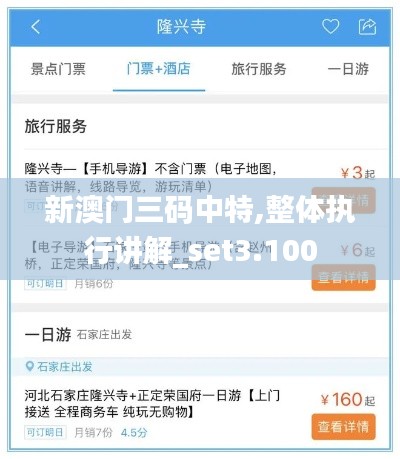 新澳门三码中特,整体执行讲解_set3.100