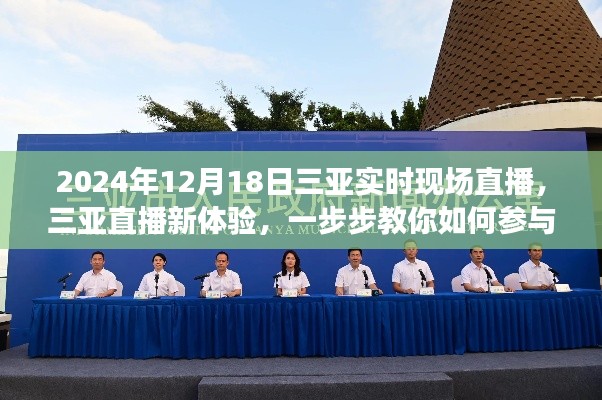 『2024年三亚直播盛典,现场体验与参与指南』