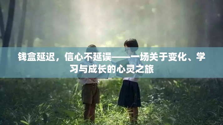 钱盒延迟背后的心灵之旅,信心、学习与成长的力量