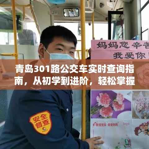 青岛301路公交车实时查询指南，从入门到精通，轻松掌握查询技巧