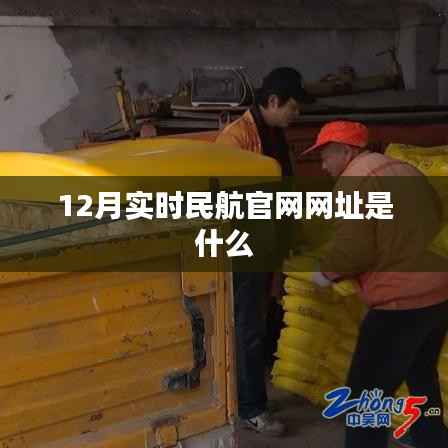 12月实时民航官网链接