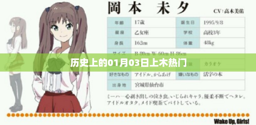 历史上的大事件,一月三日揭秘上木热门