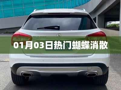 热门蝴蝶消散现象揭秘,01月03日最新动态揭秘!