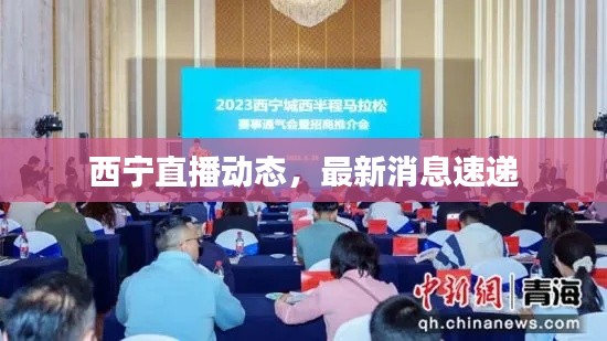 西宁直播动态,最新消息速递