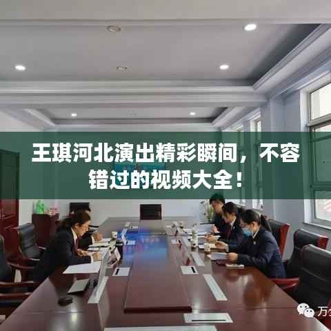 王琪河北演出精彩瞬间,不容错过的视频大全!