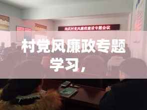 村党风廉政专题学习,