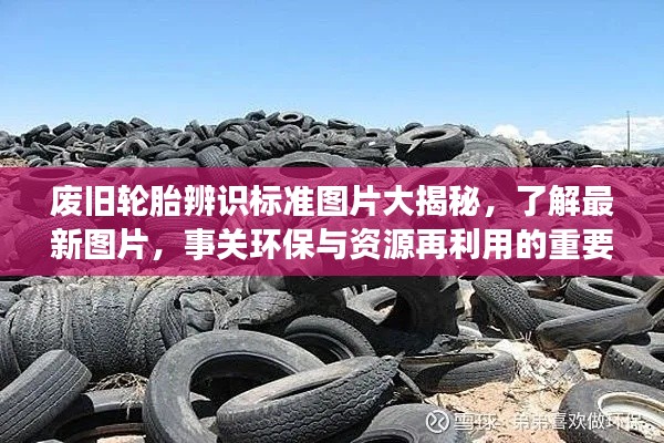 废旧轮胎辨识标准图片大揭秘,了解最新图片,事关环保与资源再利用的重要性