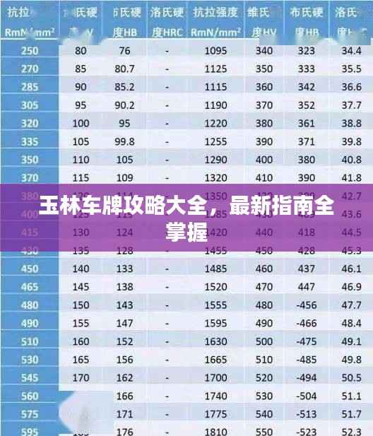 玉林车牌攻略大全,最新指南全掌握
