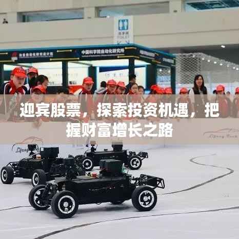 迎宾股票,探索投资机遇,把握财富增长之路