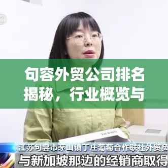 句容外贸公司排名揭秘,行业概览与竞争力分析