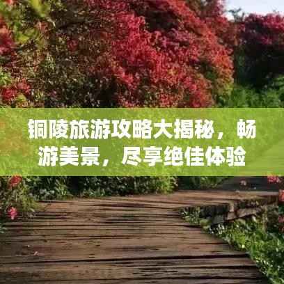 铜陵旅游攻略大揭秘，畅游美景，尽享绝佳体验！