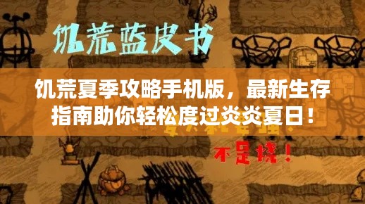 饥荒夏季攻略手机版,最新生存指南助你轻松度过炎炎夏日!