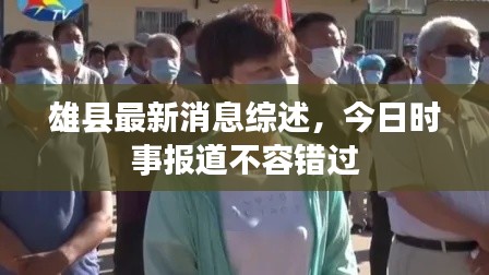 雄县最新消息综述，今日时事报道不容错过