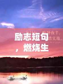 励志短句,燃烧生命,砥砺前行,激发无限潜能!