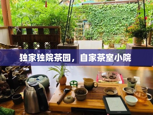 独家独院茶园,自家茶室小院