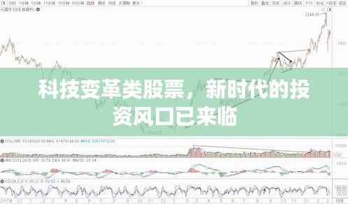 科技变革类股票，新时代的投资风口已来临
